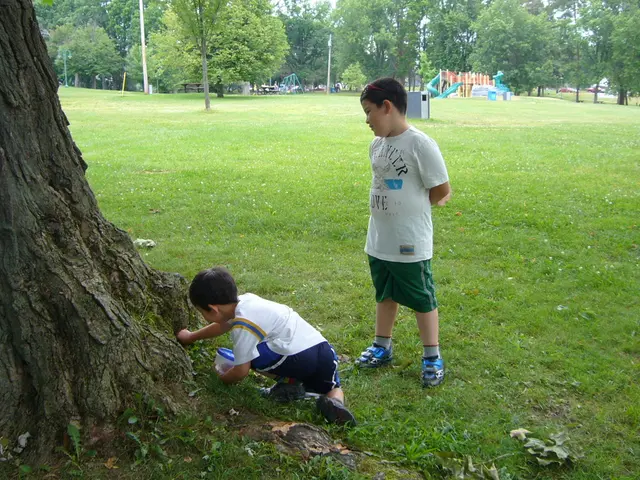 Lawsuit over Children's Privacy Concerns on YouTube Settled by Google