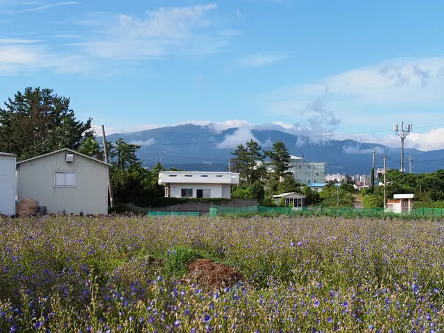 U.S. Virtual Power Plant capacity, propelled by electric vehicles and batteries, poised to reach...