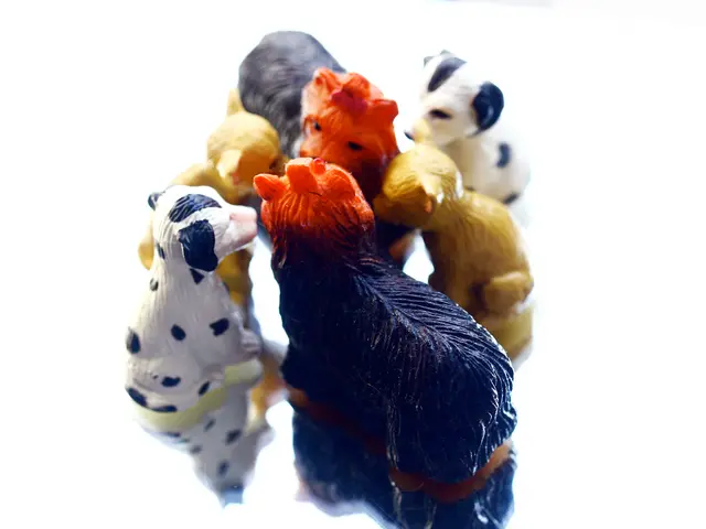 Weekly In-game Rewards for August 11, 2022