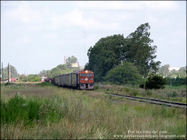 As we can see in the image there is grass, trees, train, railway track, current poles and a sky.