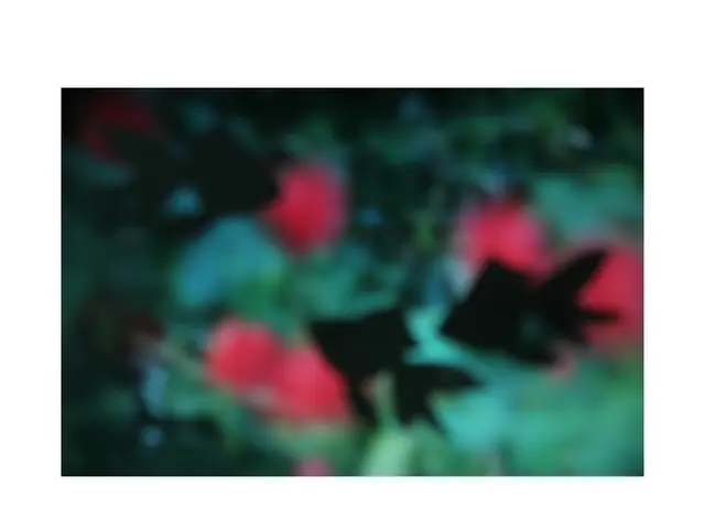 This is a blur image. In this image leaves and few red color objects are visible.