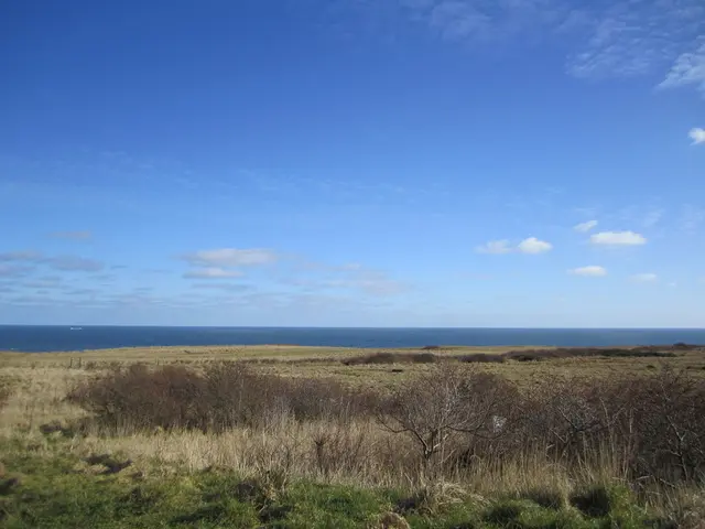 The picture I can see grass, dry trees, water and the sky with clouds in the background.
