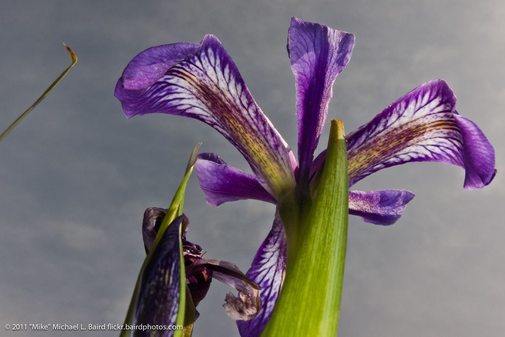 Volkswagen escapes a EUR 4.3 million penalty for data privacy infractions