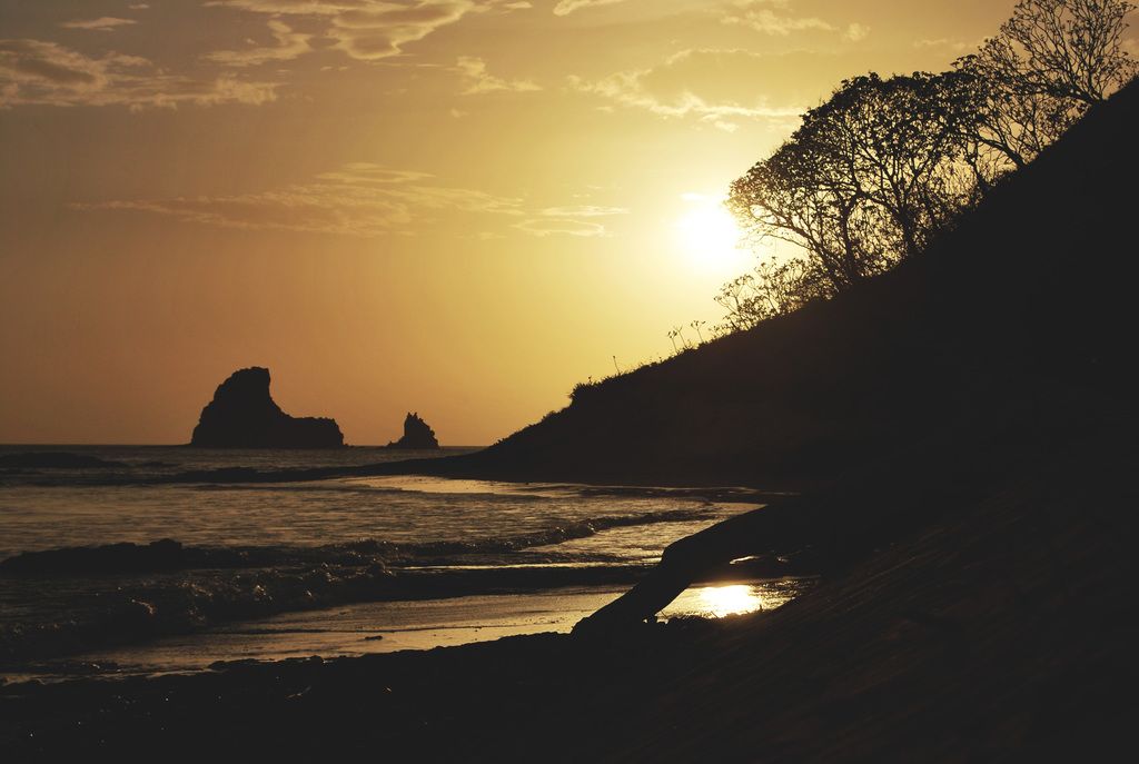 Latest Gaming Laptops in 2025: PCs Suitable for Every Gamer's Needs and Finances